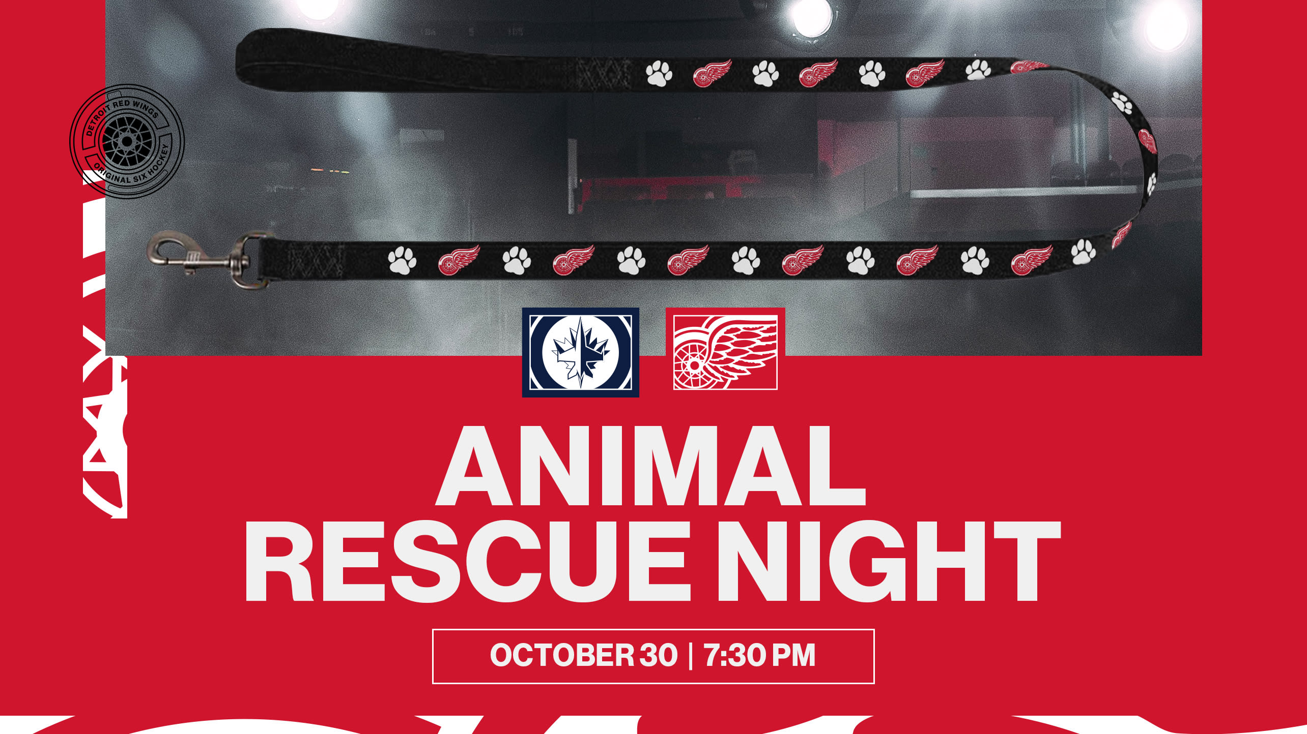 Animal Rescue Night