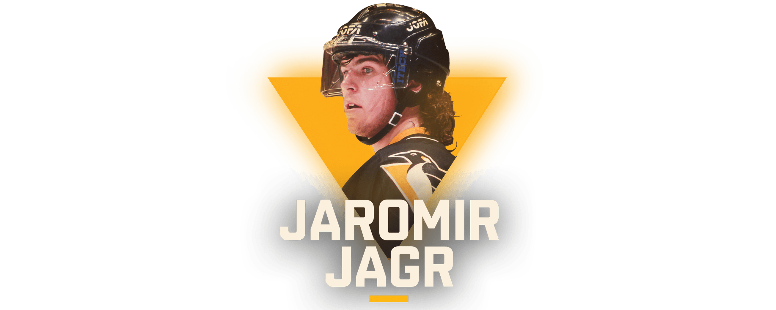 Jaromir Jagr photo