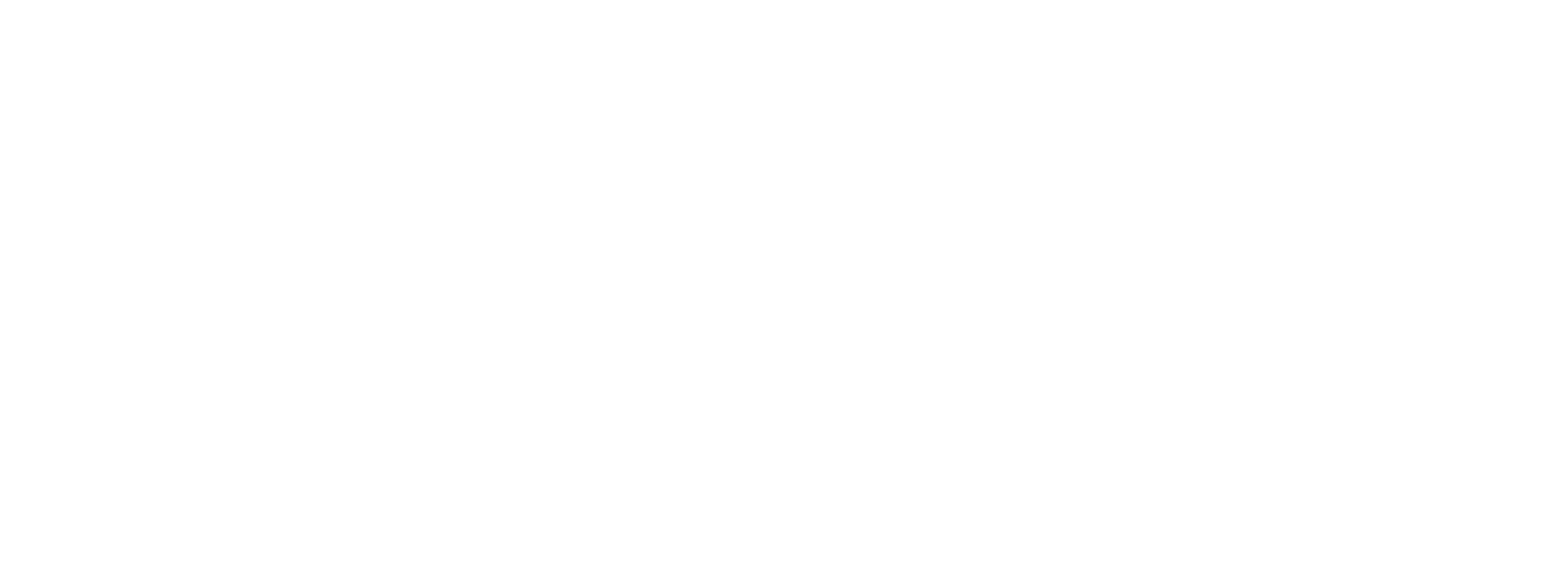 Founding Partner - Verizon