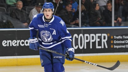 Nicolas Hague draft diary