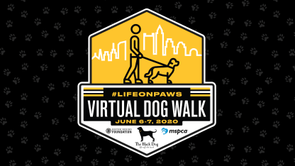 Virtual_Dog_Walk_2568x1444