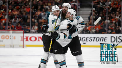 20180413_InsideTheCage_BlueLine