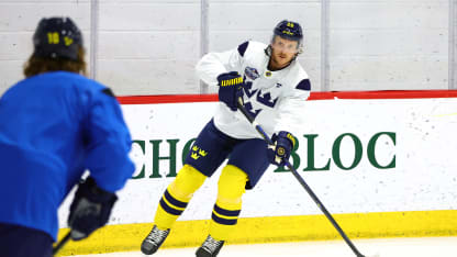 4 nations sweden jonas brodin