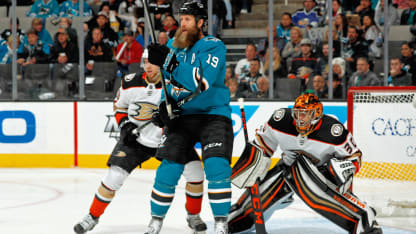 ducks-sharks