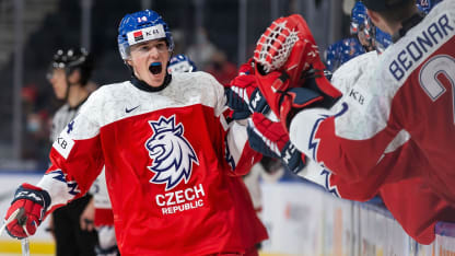 Svozil Czech goal