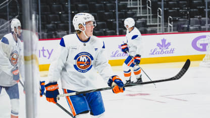 Isles Day-to-Day: Holmstrom Returns, Warren Recalled