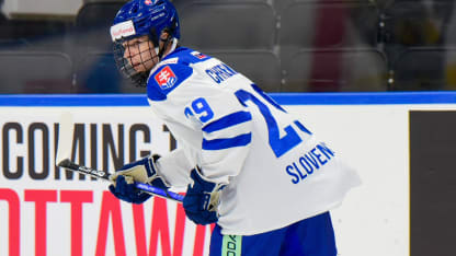 Team Slovakia v Team Sweden