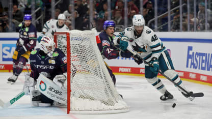 Eisbaren-Berlin-Ancicka-10-4