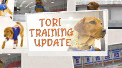 Tori Training Update