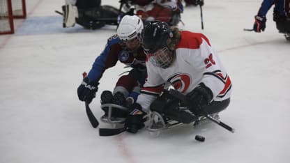 USA hockey sled 14