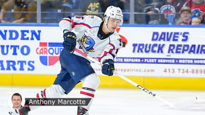 BolducMarcotteLNH120623