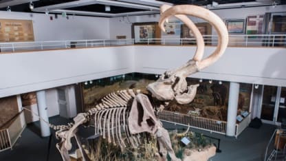 Prehistoric Museum, USU Eastern