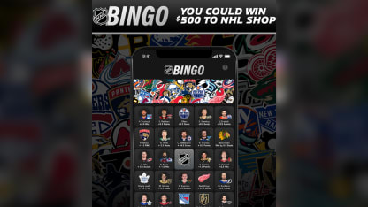 NHL BINGO 2026 Winter Classic