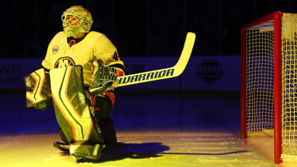 POTY_31_Lehner_Yellow