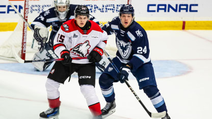 Lars Steiner Huskies