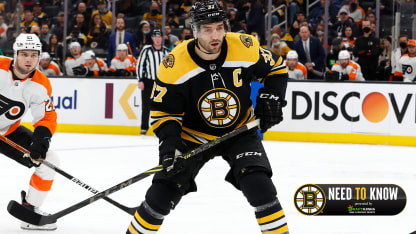 bergy