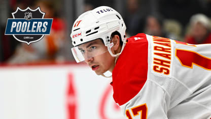 SHARANGOVICH BADGE POOLERS