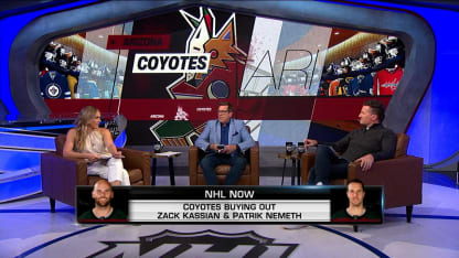 The state of the Arizona Coyotes