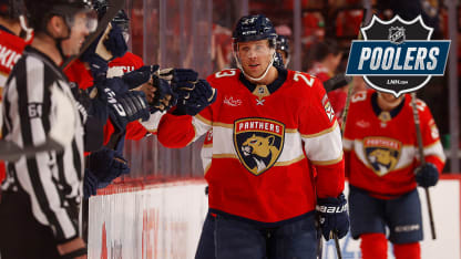 Verhaeghe badge poolers