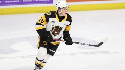 PROSPECTS: Lardis Nets Hat Trick, Tied for Second Among OHL Goal Scorers