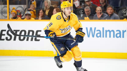 Turris_skatejohn1_standard