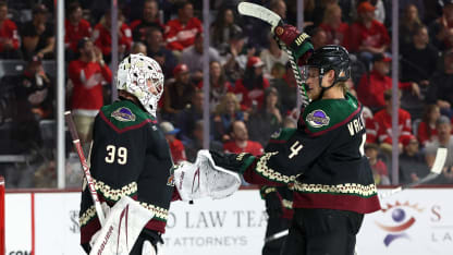 Detroit Red Wings v Arizona Coyotes