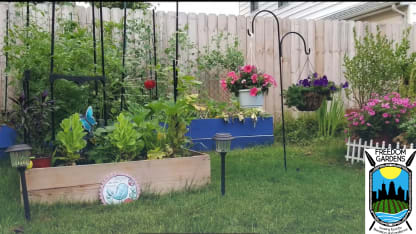 Freedom Gardens Mediawall