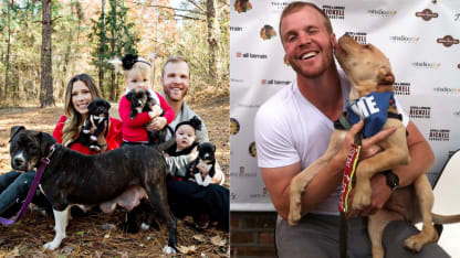 Bickell-dogs 1-18