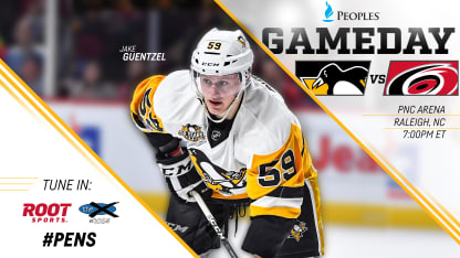 01.20.17_PITvsCAR-Web