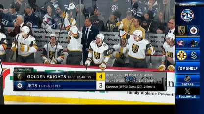 Energizer OT Winner: Hertl