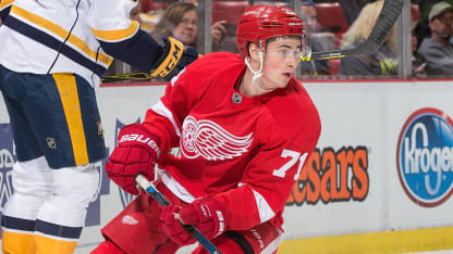 Larkin Red Wings Predators