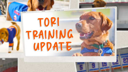 Tori Training Update - Episode 5