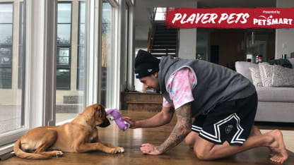 Dumba Player Pets Puppy