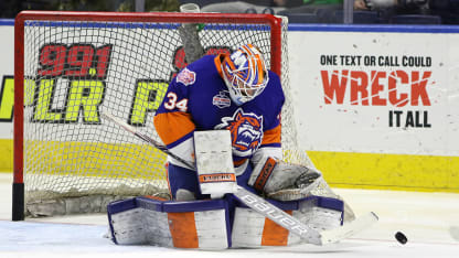 P_4.3.17_McAdam_Blue