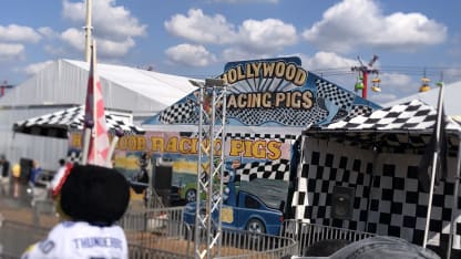hollywood pigs inline