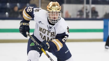 Cam Morrison prospect Notre Dame 2016-17