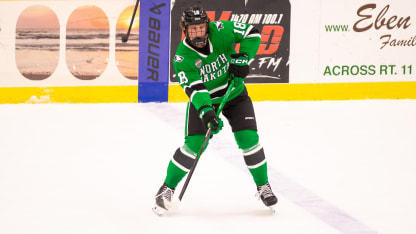 2026 NHL Draft Metropolitan Division needs