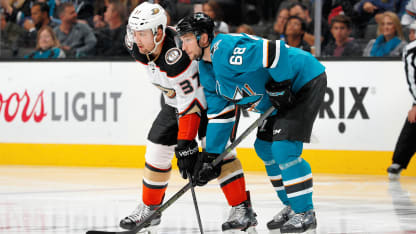 Sharks_Ducks