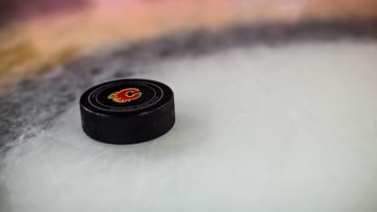 2014_0111_Calgary_Penguins003