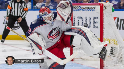 Bobrovsky badge Biron