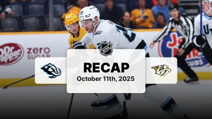 Sestřih: NSH-UTA 2:3 pp