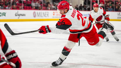 Canes Recall Bayreuther From Chicago