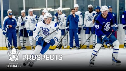 The Leaf: Blueprint: Prospects