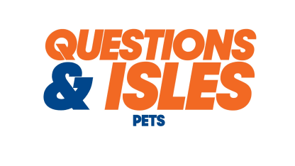 Q&ITW-Pets