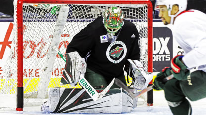 Dubnyk-1129-1