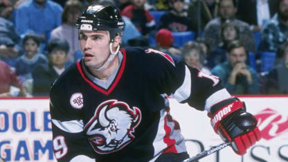 1997 Holzinger Mediawall