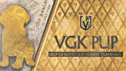 VGK2324-PupName-1200x628