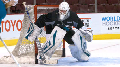 reimer-sharks-practice