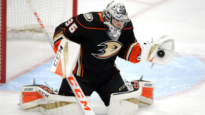 John-Gibson-Ducks