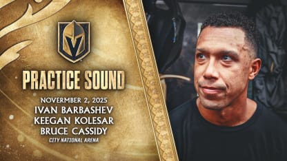 🎥 SOUND: Barbashev, Kolesar & Cassidy